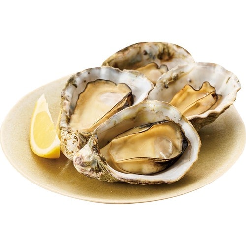 牡蠣通販おすすめ かましま水産 ぷりみ 1kg イメージ