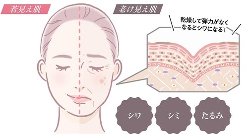 老け見えの最大の敵は乾燥 エイジングケア化粧水おすすめ イメージ
