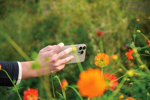 カメラ：Pro Maxの望遠はiPhone史上最強！ iPhone 15おすすめ イメージ5