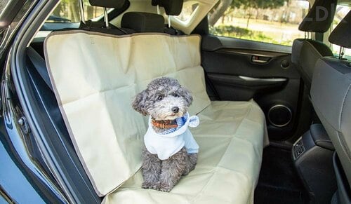 犬用ドライブシートとは? 使うメリット 犬用ドライブシートおすすめ イメージ