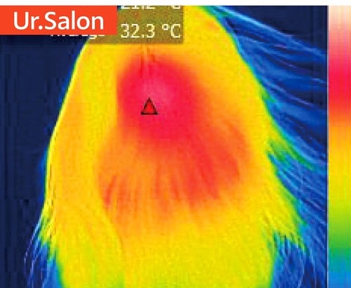 速乾性：◎＋ 1万円以下で買えるドライヤーおすすめ イメージ