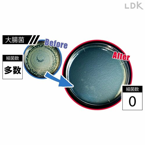 大腸菌 Before/After 安いアルコール除菌スプレーおすすめ イメージ