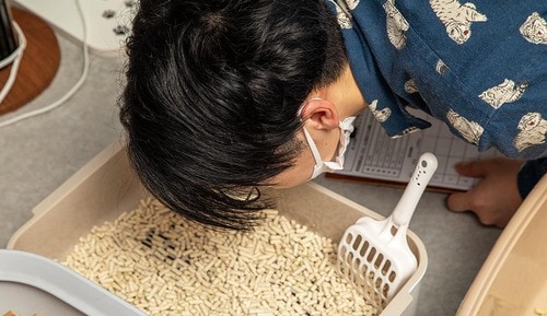 時間が経つと臭わなくなる 猫用トイレおすすめ イメージ