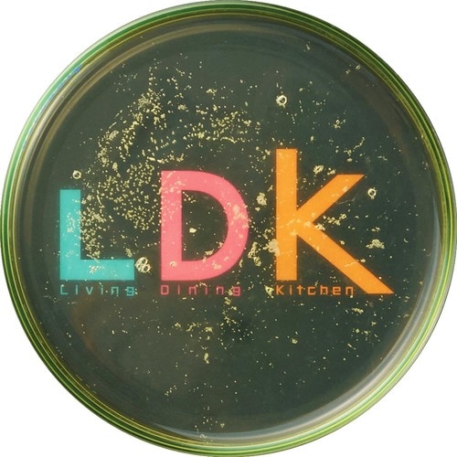 Before 食器用洗剤おすすめ イメージ