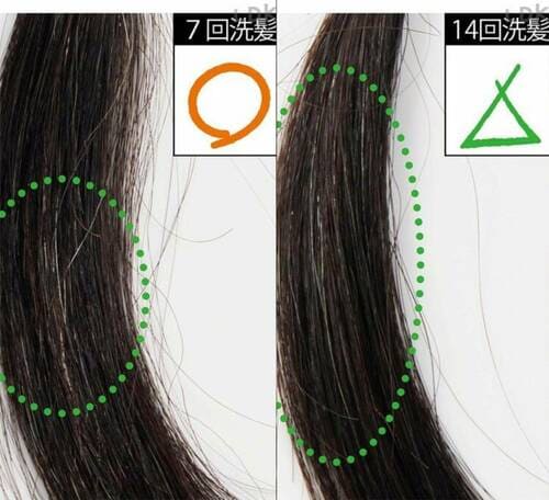 ホーユー「シエロ ムースカラー/6」洗髪後の色の変化