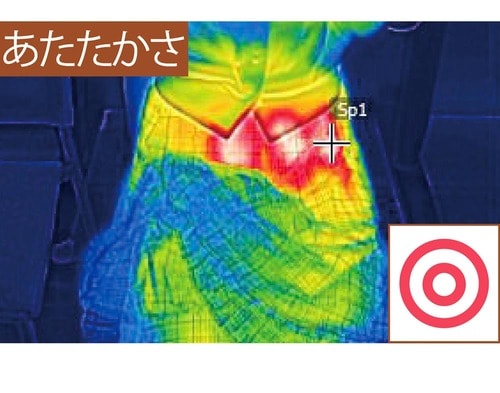 あたたかさ 電気ひざ掛けおすすめ イメージ