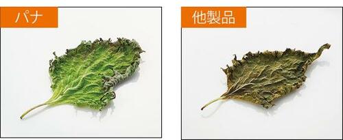 ベストな理由：野菜室でも圧倒的長持ち！ イメージ