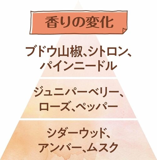 香りの変化 香水おすすめ イメージ