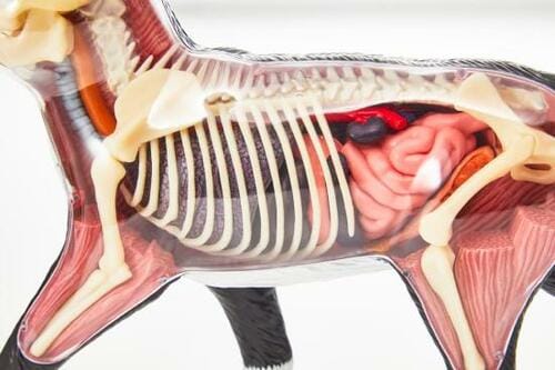 値段の割にリアルな作り イメージ