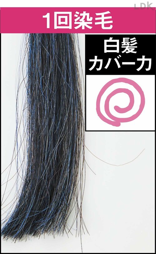 1回染毛 白髪染めトリートメントおすすめ イメージ