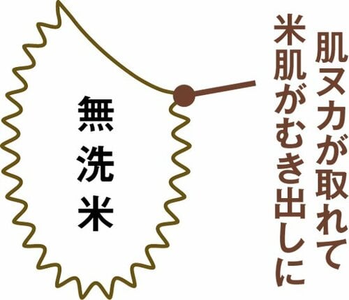 おいしくない無洗米の原因はヌカ米を傷つけるのがおいしくなるコツ