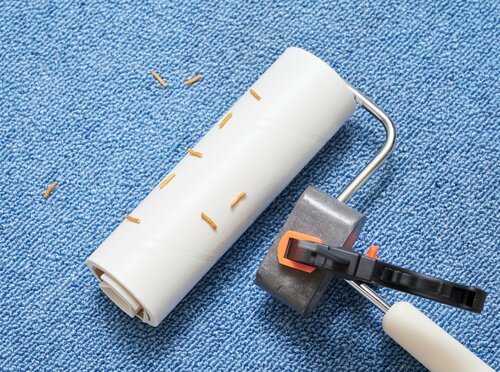 持続力があまりないのがもったいない 粘着クリーナーおすすめ イメージ