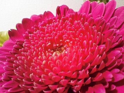 簡単にキレイな写真が撮れる MONOQLO 2025ベストバイおすすめ イメージ2