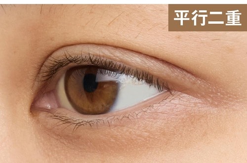 並行二重 ビューラーおすすめ イメージ