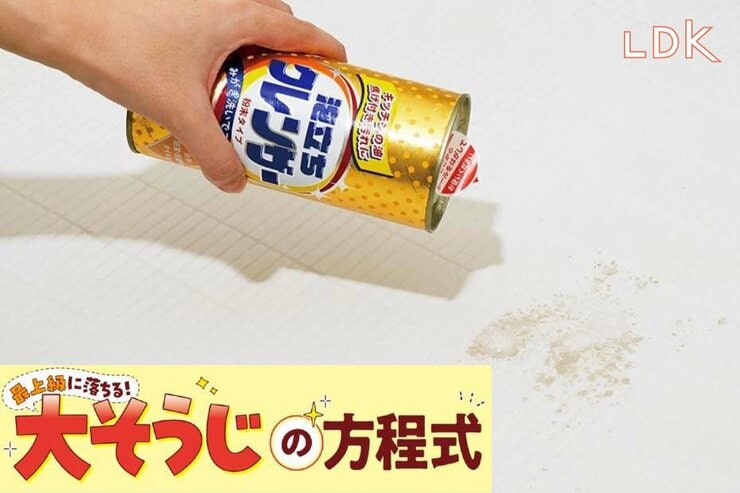 お風呂洗剤じゃ落ちない！ 浴室の床のナゾ黒ずみ、こすり落としのコツは？【LDK大掃除】