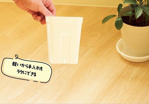 1：スリット鉢を活用 観葉植物おすすめ イメージ