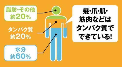 BCAAおすすめ イメージ