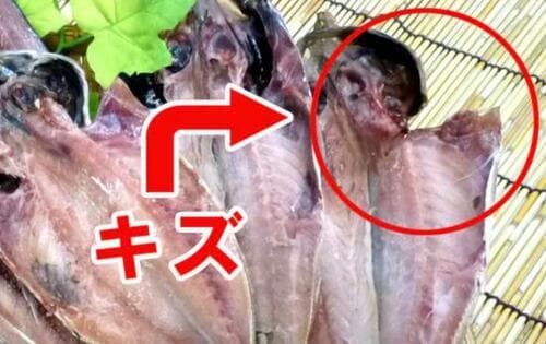 訳アリの理由は？ イメージ