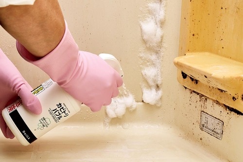お風呂のカビはカビ取りスプレーで簡単に撃退しよう！ カビ取りスプレーおすすめ イメージ