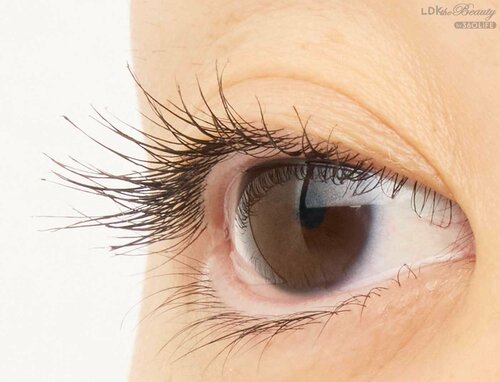 仕上がり マスカラおすすめ イメージ