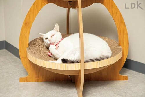 存分にくつろげる下段に人気が集中! 猫用爪とぎおすすめ イメージ