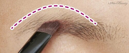 ステップ1：パウダーで上のラインを描く ガタガタ眉＆尻なし眉おすすめ イメージ