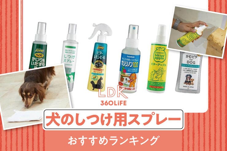 【2025年】犬のしつけ用スプレーのおすすめランキング。LDKがいたずら防止用の人気商品を比較