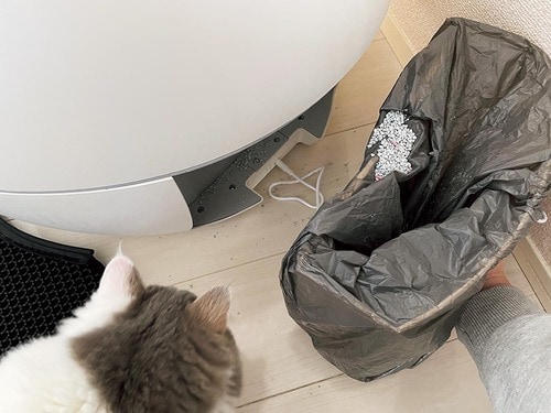 注意:砂が散らばることも イメージ