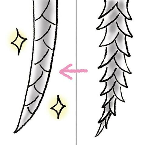 髪のパサつき・うねりはドライヤーのかけ方で改善!