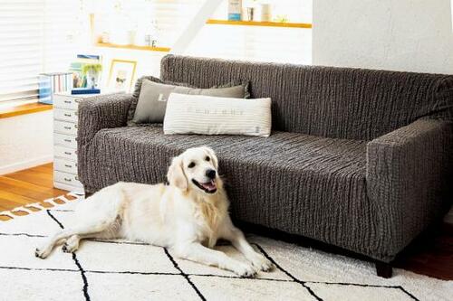 汚れがつきにくく掃除しやすい！ソファカバーで覆うのが正解 イメージ