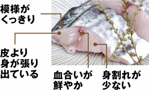 【切り身】目や尾びれでも新鮮さは分かります イメージ