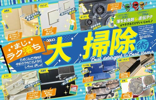 掃除用洗剤を減らしたい！ LDKが最強アイテムを検証 掃除用洗剤おすすめ イメージ2