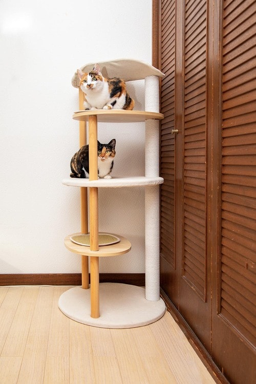 木製でがっしりしていて多用途だから使用率も高い キャットタワーおすすめ イメージ2