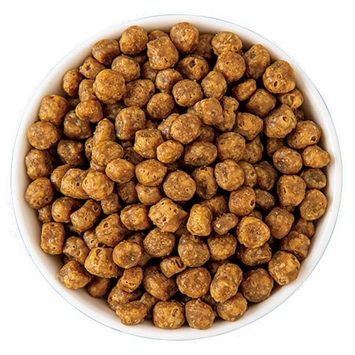 グレインフリーキャットフードおすすめ グローバルペットニュートリション ナウフレッシュグレインフリー ターキーサーモン・ダックのレシピ イメージ2