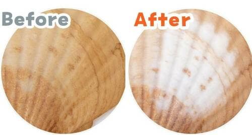 貝殻テスト:Before→After(5回こすり) 歯磨き粉おすすめ イメージ
