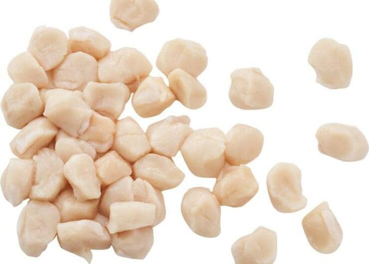 【楽天訳アリ】お刺身でウマい！「北海道産生ほたて貝柱」が驚きのコスパです