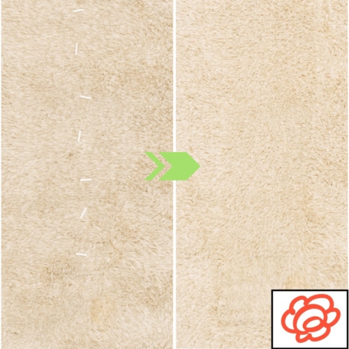 ラグ コードレス掃除機おすすめ イメージ