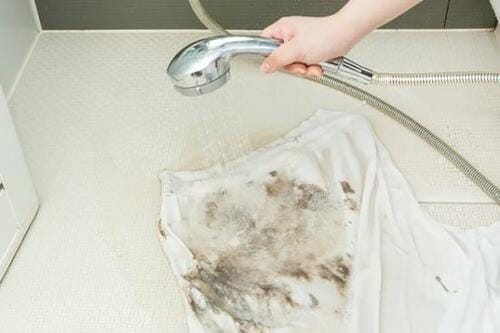 広範囲の泥汚れははたいてから落とす イメージ2