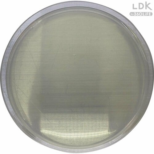 リンレイ塗布7日後 LDKベストバイ水まわり洗剤おすすめ イメージ