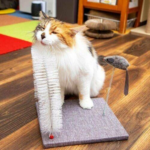 抜け毛が取れ、ネコがリラックスできる! 猫のセルフグルーミンググッズおすすめ イメージ