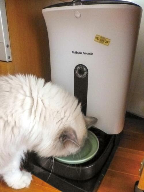 操作が簡単で映像もキレイ！「カリカリマシーンSP」 イメージ2