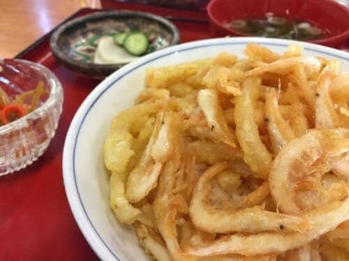 明治時代に発見されたシロエビ...平成では“富山湾の宝石”に イメージ2