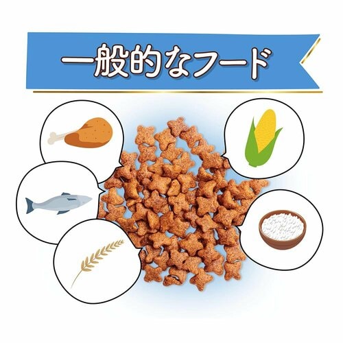 グレインフリーキャットフードとは？ グレインフリーキャットフードおすすめ イメージ2