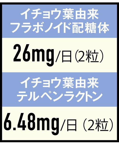成分：摂取目安量とほぼ同じ量のイチョウ葉由来成分を配合 イチョウ葉エキスサプリおすすめ イメージ