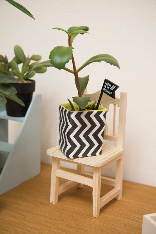 インテリアに植物を取り入れてみよう