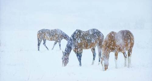 背景まで白飛びせずにはっきり描く 家電ベストバイ オブザイヤーおすすめ イメージ2