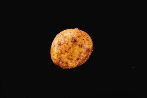 7位: アリックス七味とうがらし豆最初はピリ辛で豆の甘みも味わえる 辛いお菓子おすすめ イメージ2