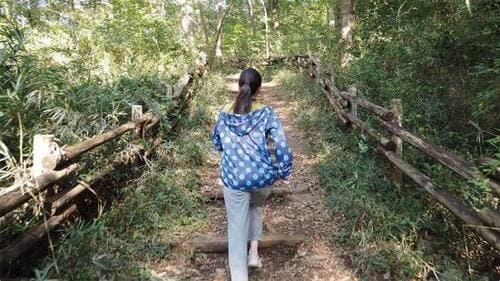 iPhoneとは手ブレ補正力が違います！ イメージ