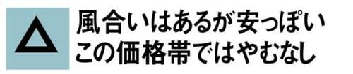 C評価: 【C評価】カジュアルすぎ!大人向きではありません