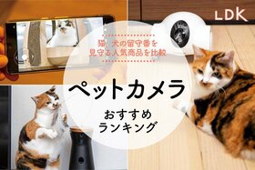 【LDK公式】ペットカメラのおすすめランキング。猫、犬の見守りに最適な人気商品を比較